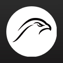 walrushofficialmarket forex trading education platform